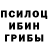 Галлюциногенные грибы Psilocybine cubensis YEET 501