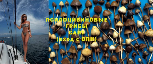 амф Алексин