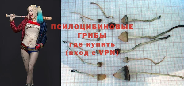 амф Алексин